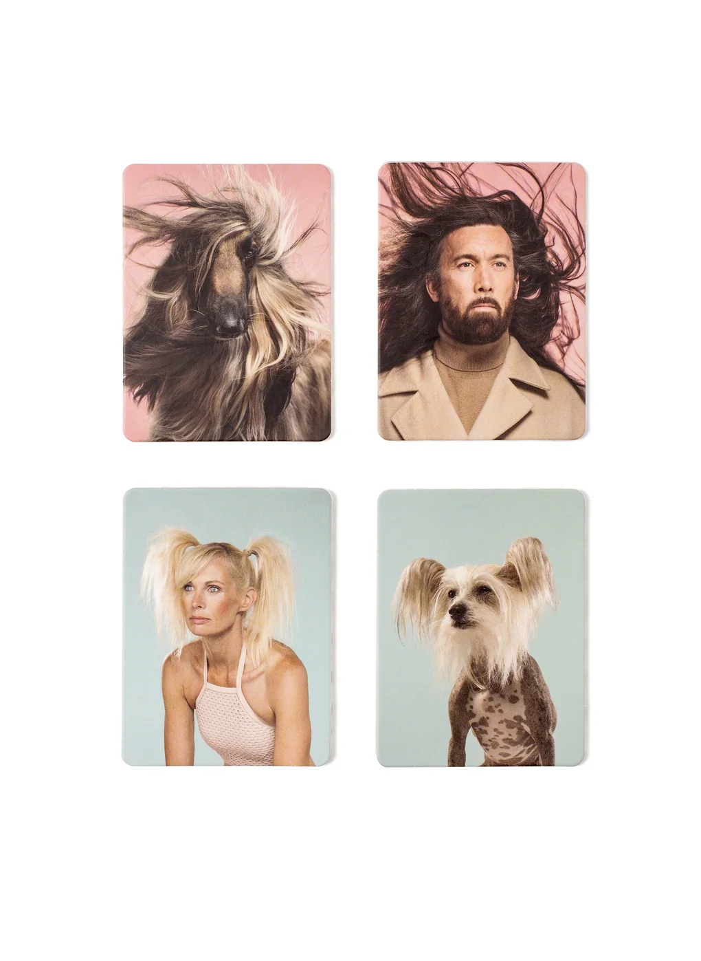 Memo-Spiel "Siehst du aus wie dein Hund?" – Bild 3